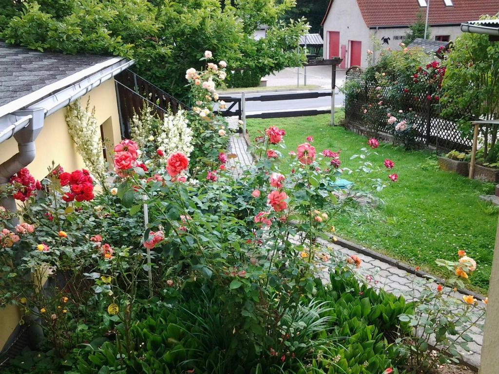 Ferienhaus Waldblick 장어하우젠 외부 사진